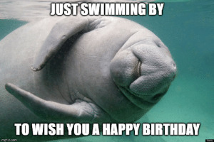 thumb_ustswimmingby-to-wish-you-a-happy-birthday-imgflip-com-getty-manatee-52540127.png