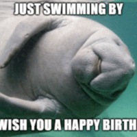 thumb_ustswimmingby-to-wish-you-a-happy-birthday-imgflip-com-getty-manatee-52540127.png